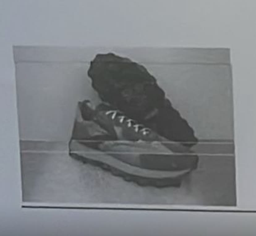 Toni Sabatini Sneaker